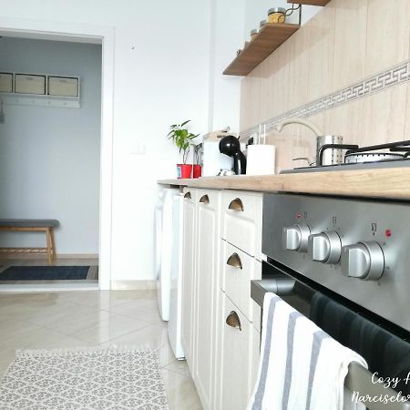 Cozy Apartment Narciselor Suceava Ipotesti  외부 사진
