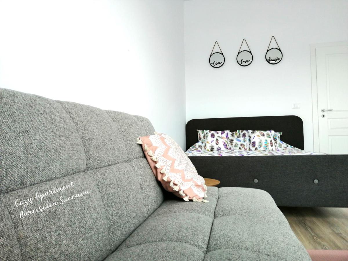 Cozy Apartment Narciselor Suceava Ipotesti  외부 사진