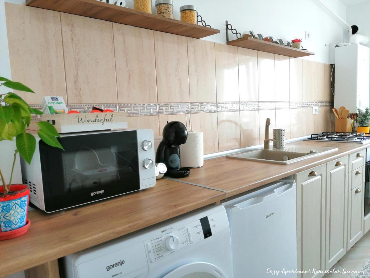 Cozy Apartment Narciselor Suceava Ipotesti  외부 사진