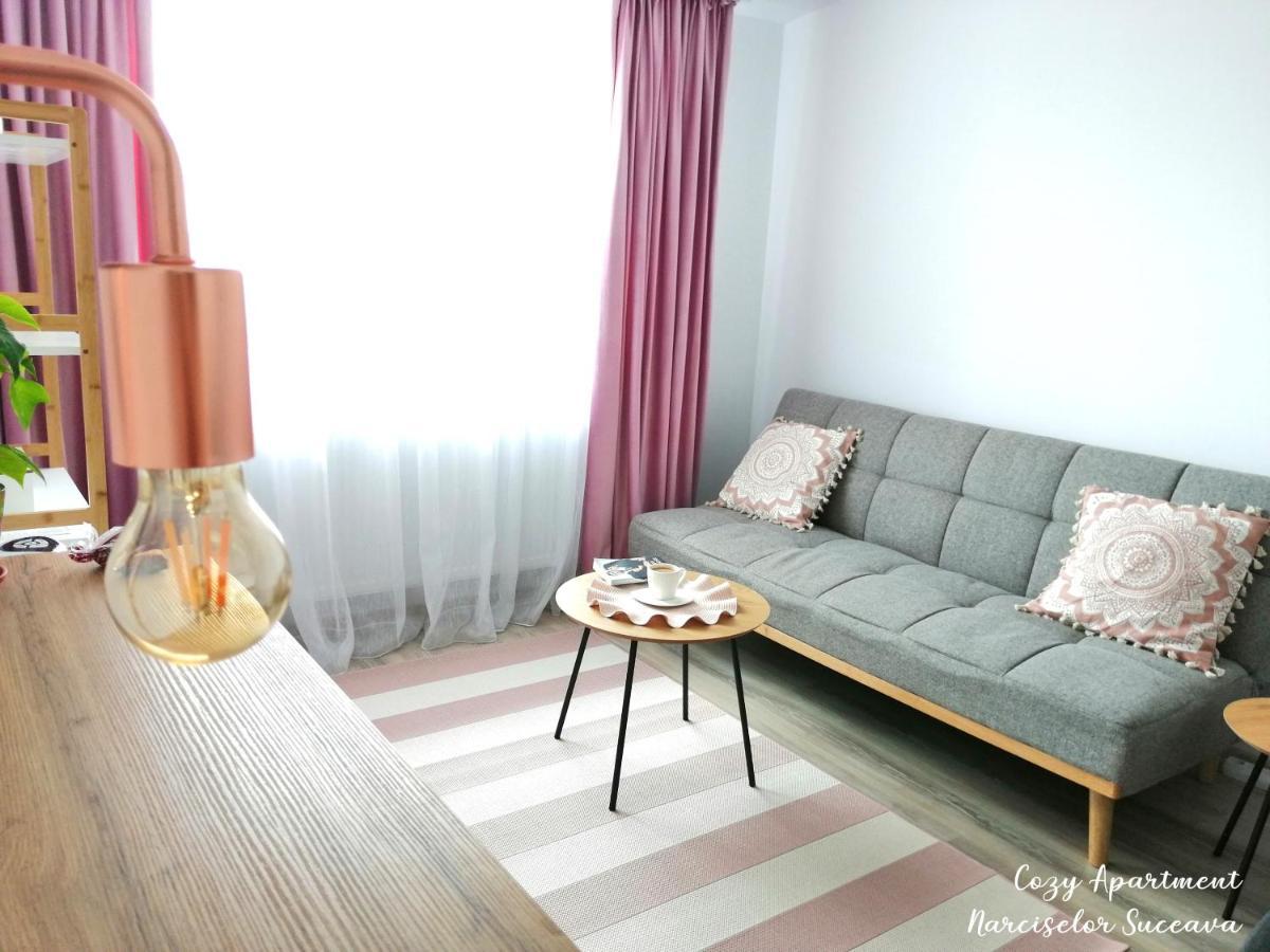 Cozy Apartment Narciselor Suceava Ipotesti  외부 사진