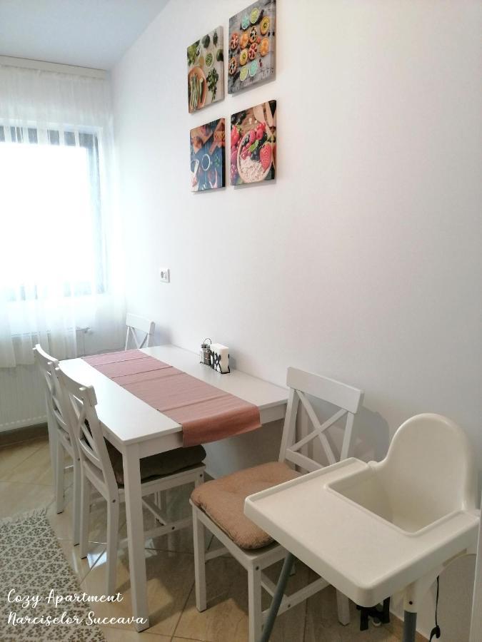 Cozy Apartment Narciselor Suceava Ipotesti  외부 사진