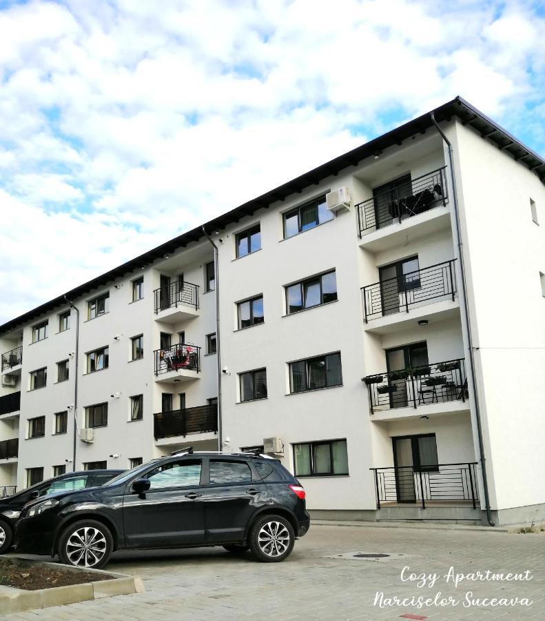 Cozy Apartment Narciselor Suceava Ipotesti  외부 사진